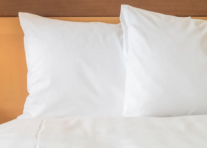 Crowne Plaza Dallas Market Ctr - Love Field, An Ihg Hotel